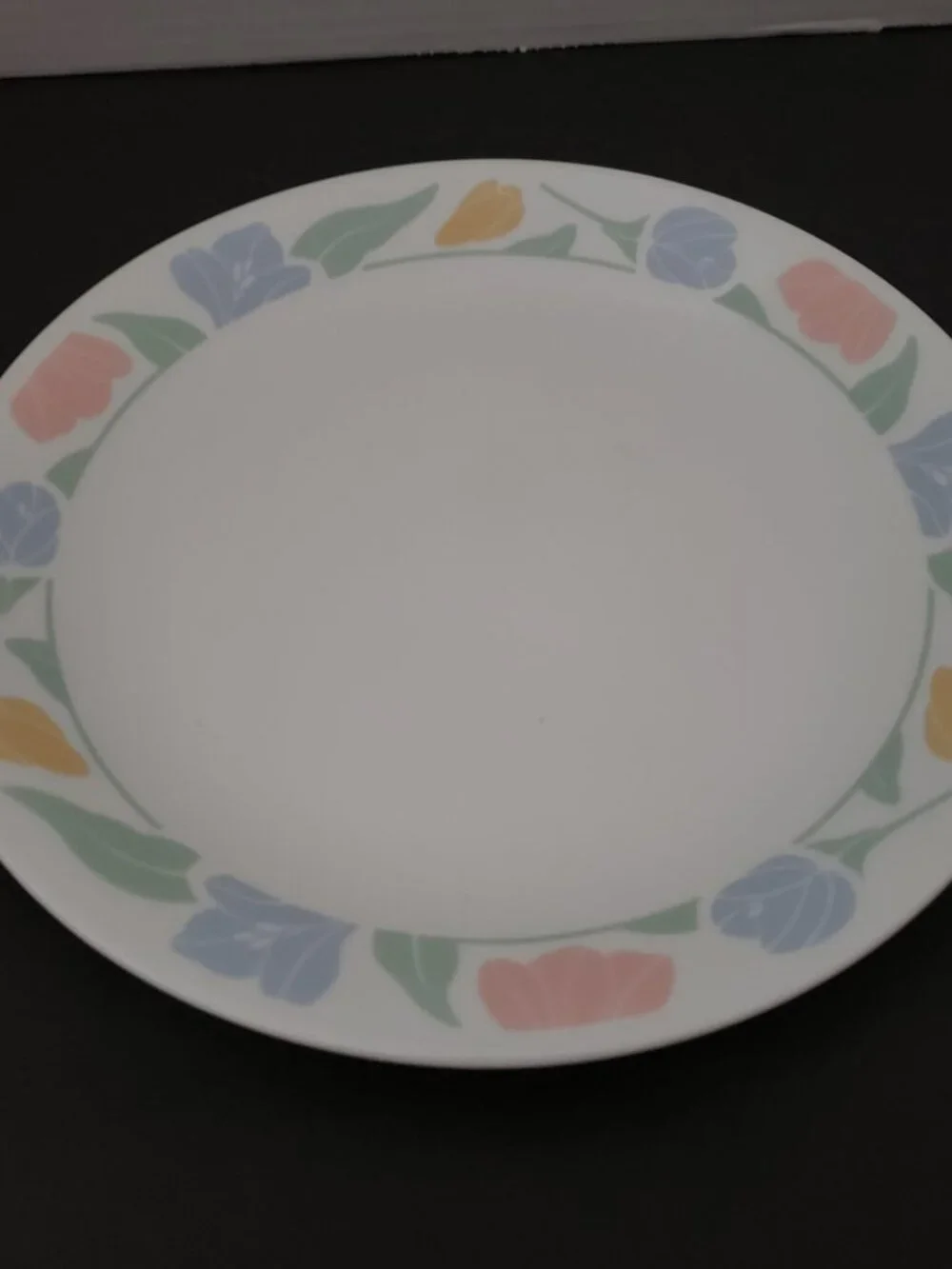 2 Vintage Corelle Friendship 10” Dinner Plates